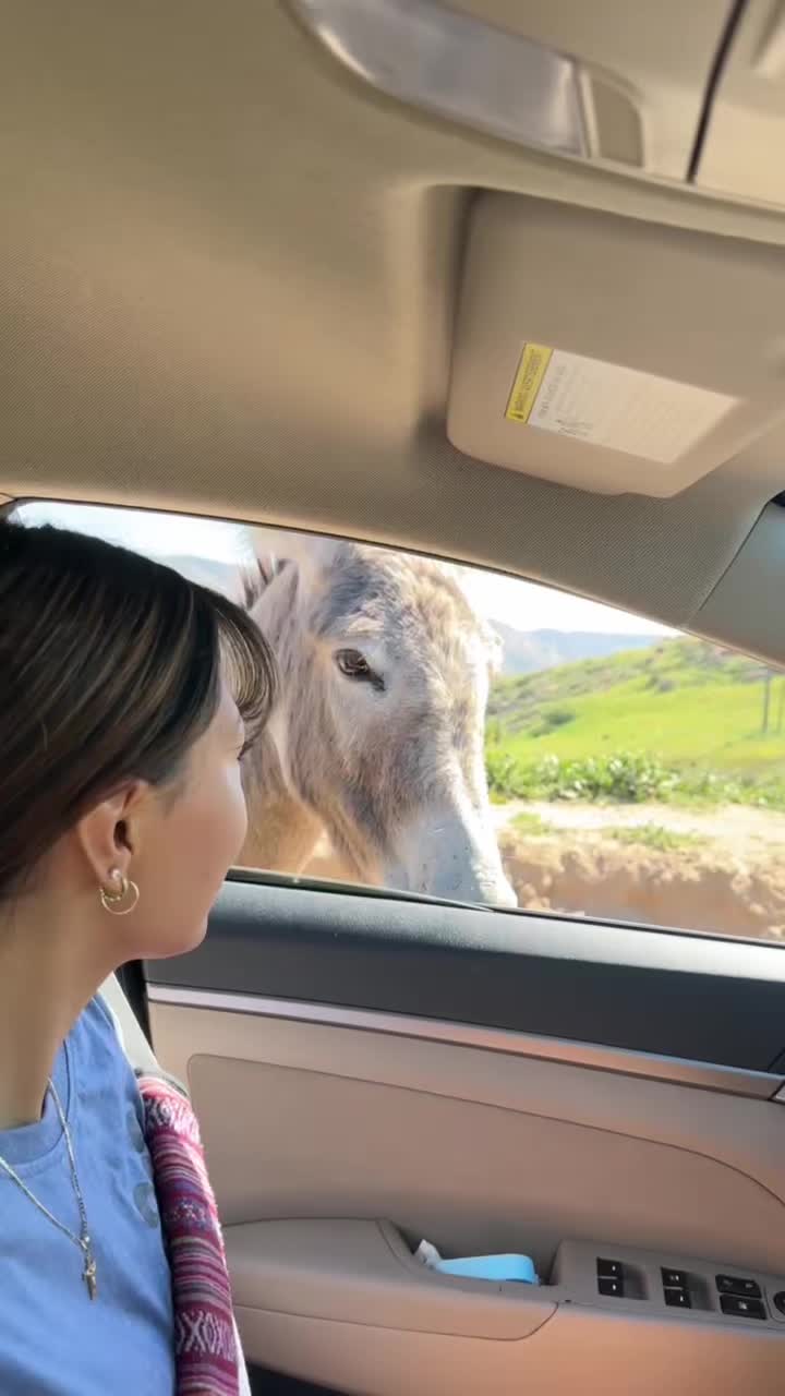 @Mel💕