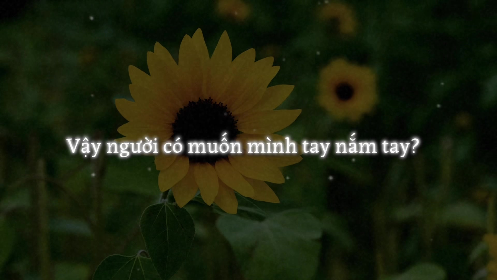 @𝑺𝒄𝒐𝒓𝒑𝒊𝒐🩵🌷
