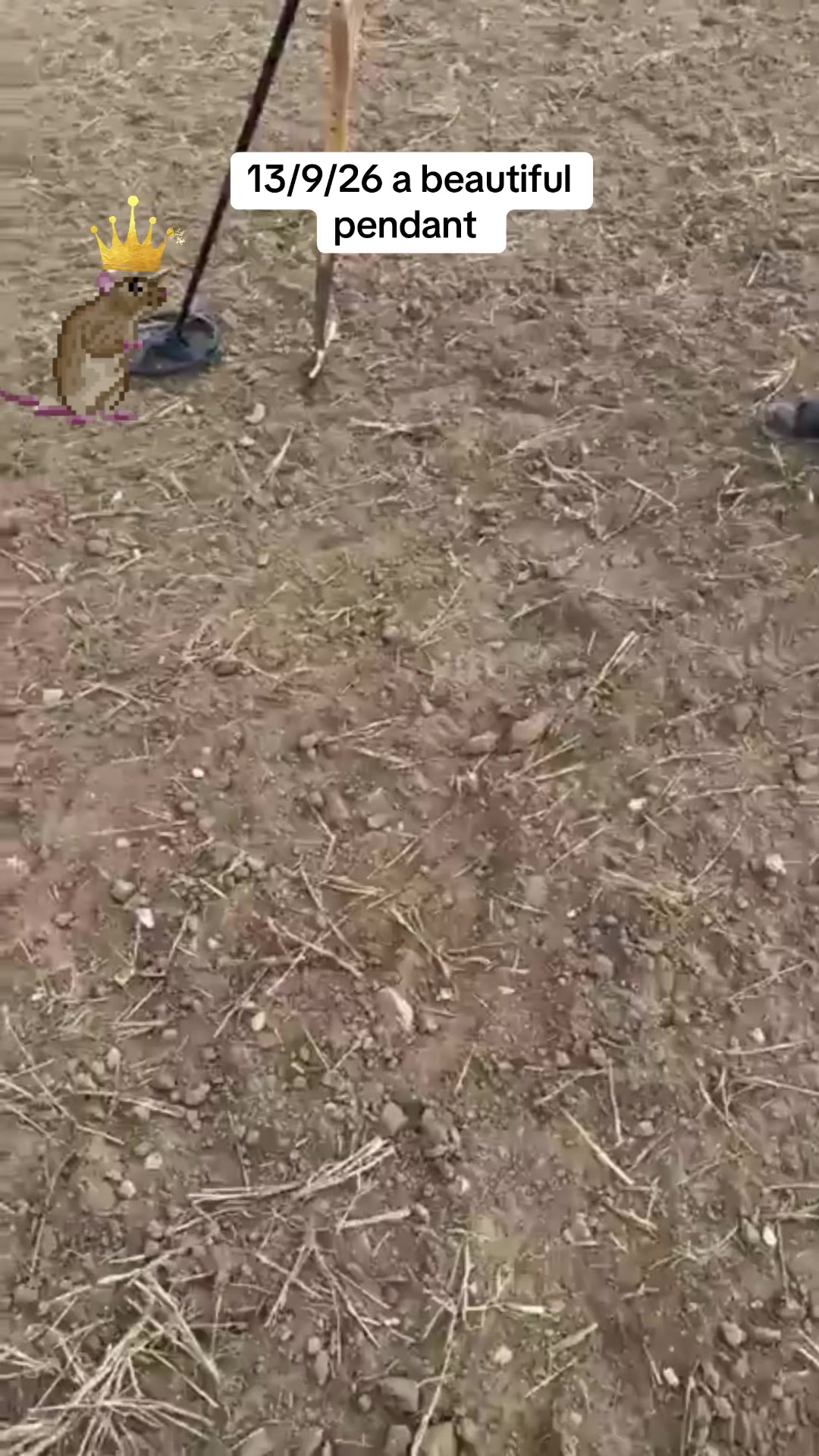 @SirKingRat