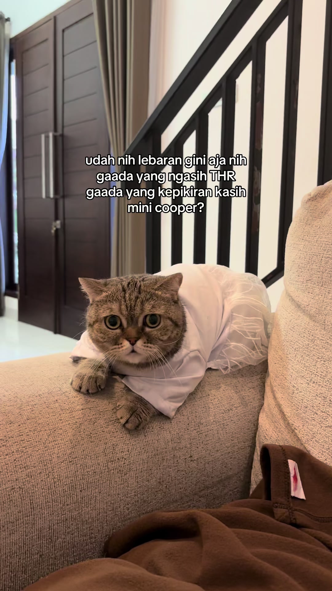 @OxaliStore