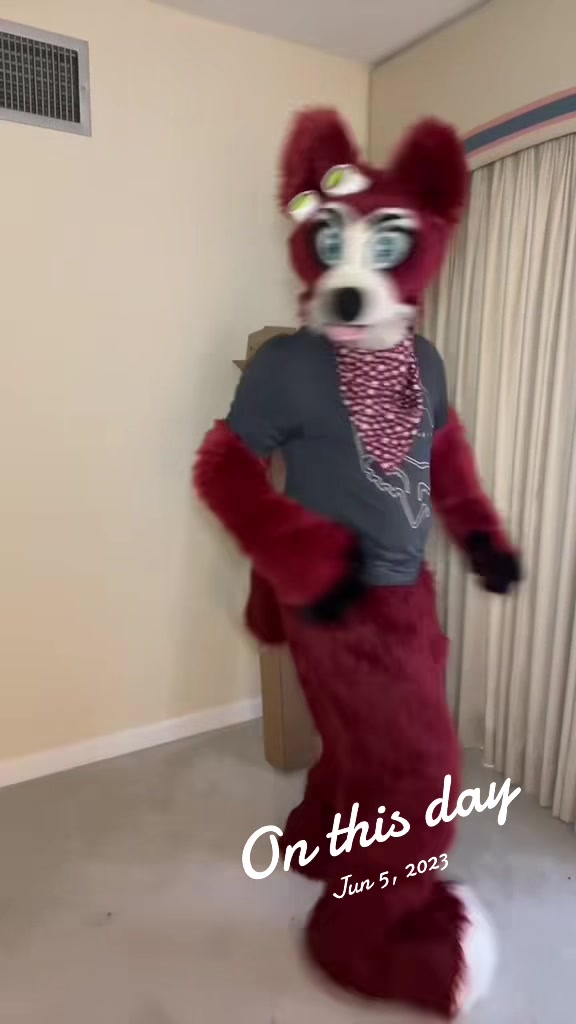 @🦊 Pete The Fox 🦊