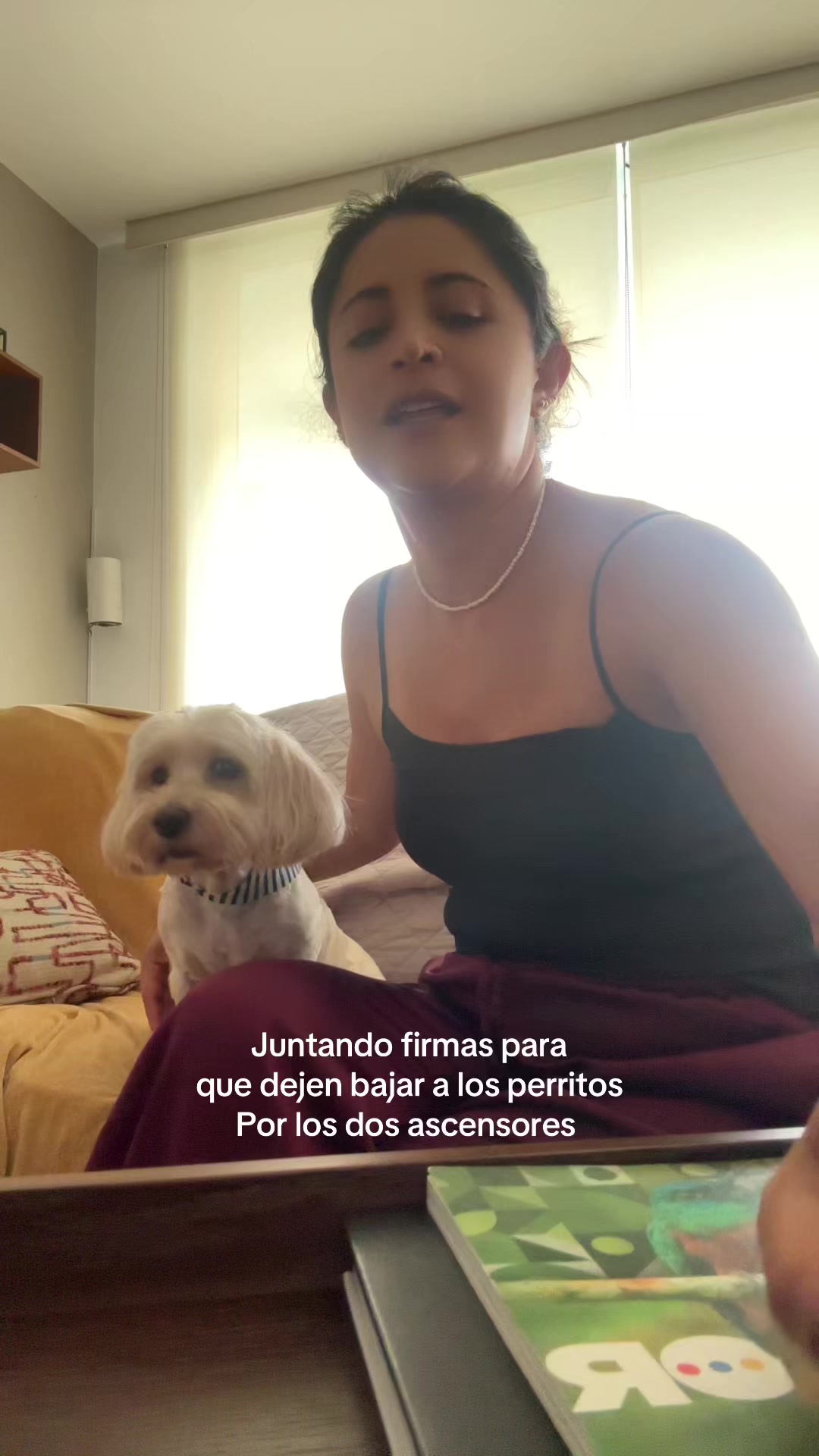 @Beyli