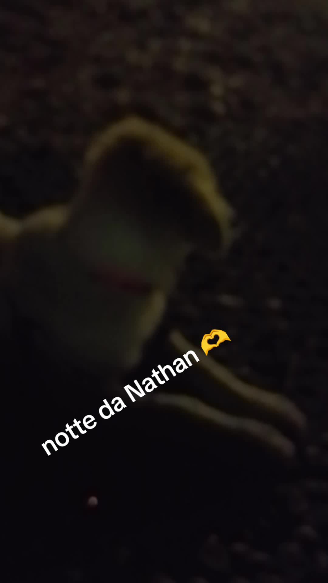 @lele