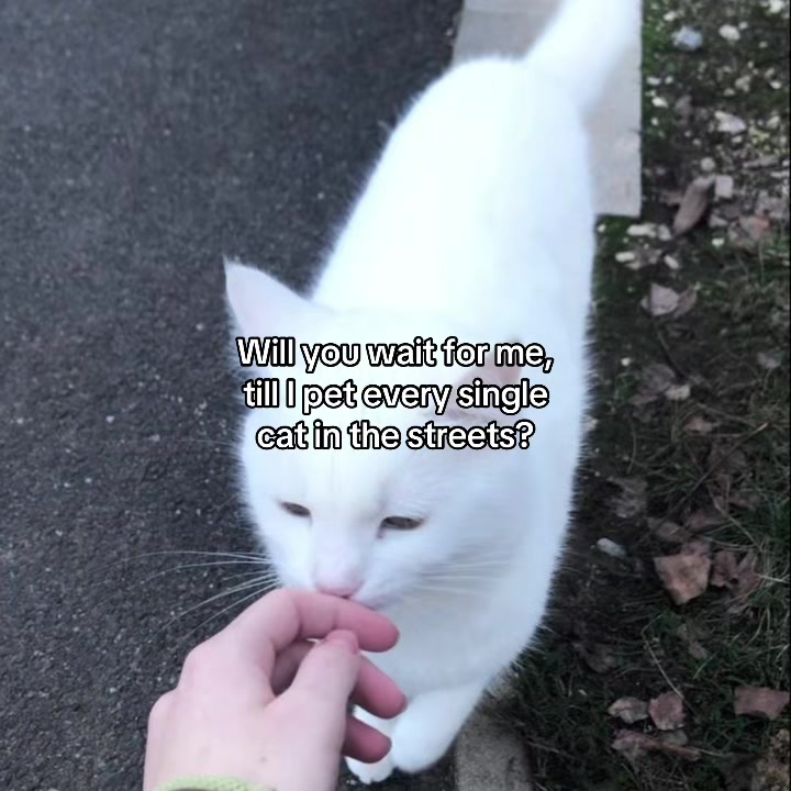 @Maisieᖭི༏ᖫྀ