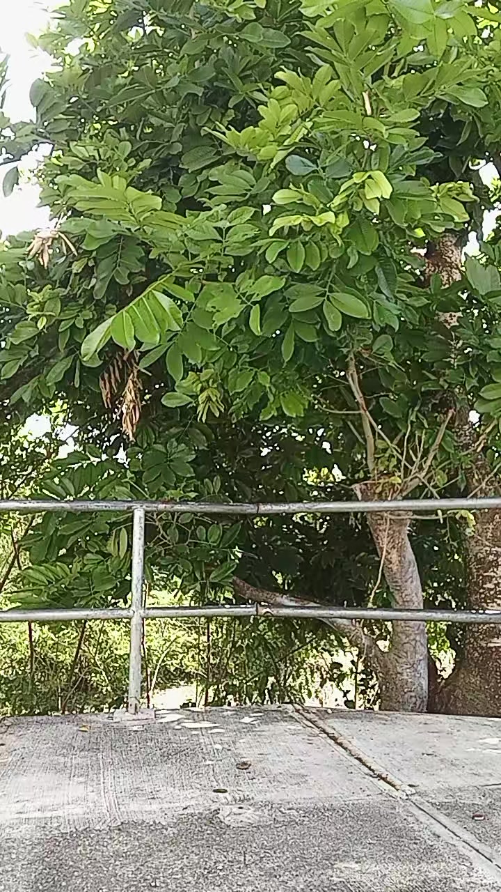 @Upboss75