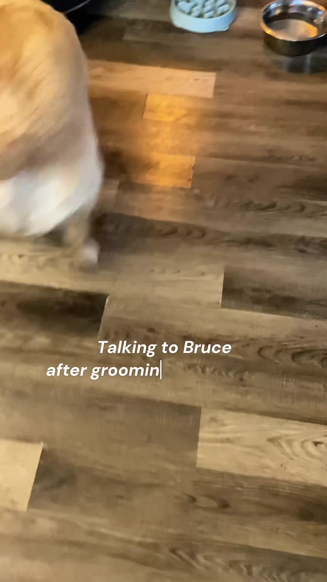 @Bruce Wayne