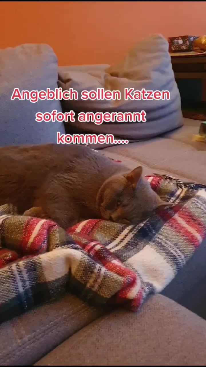 @Sami