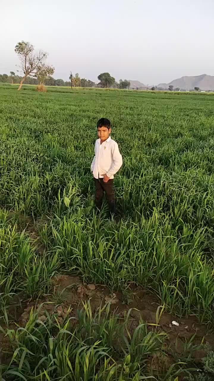 @rihan Malik
