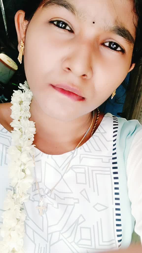 @rosevidhya