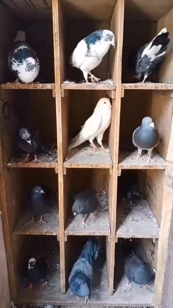 @ವಿನಯ್ ಪೋಲಿ🤫