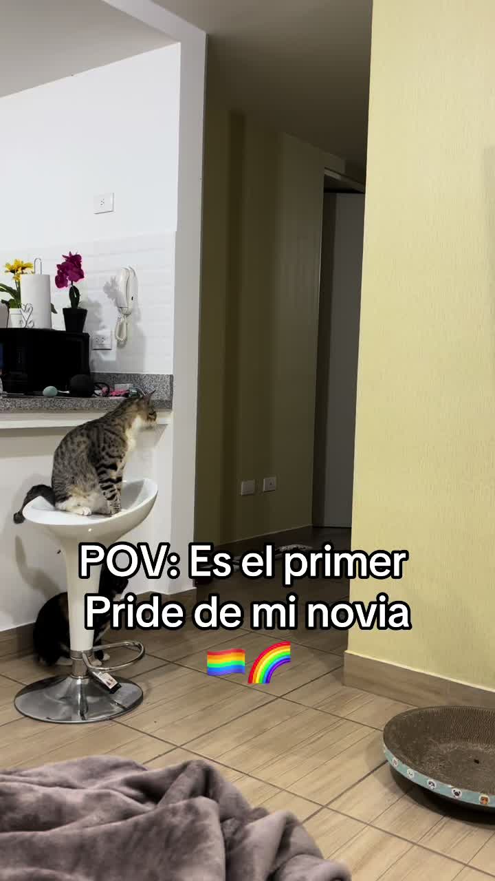 @Ale La Madrid  🏳️&zwj;🌈
