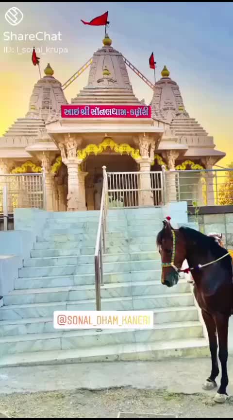 @🐎Mr ભોજાવદર વાળા🐎
