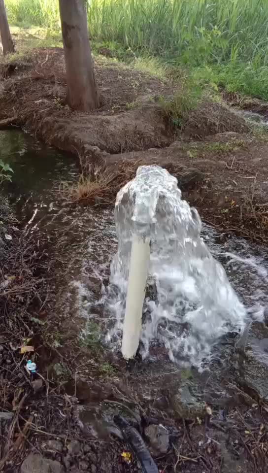 @&Atilde;k&atilde;&scaron;h_