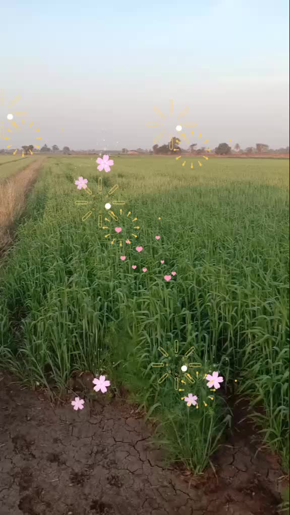 @Subhashsinh Ker