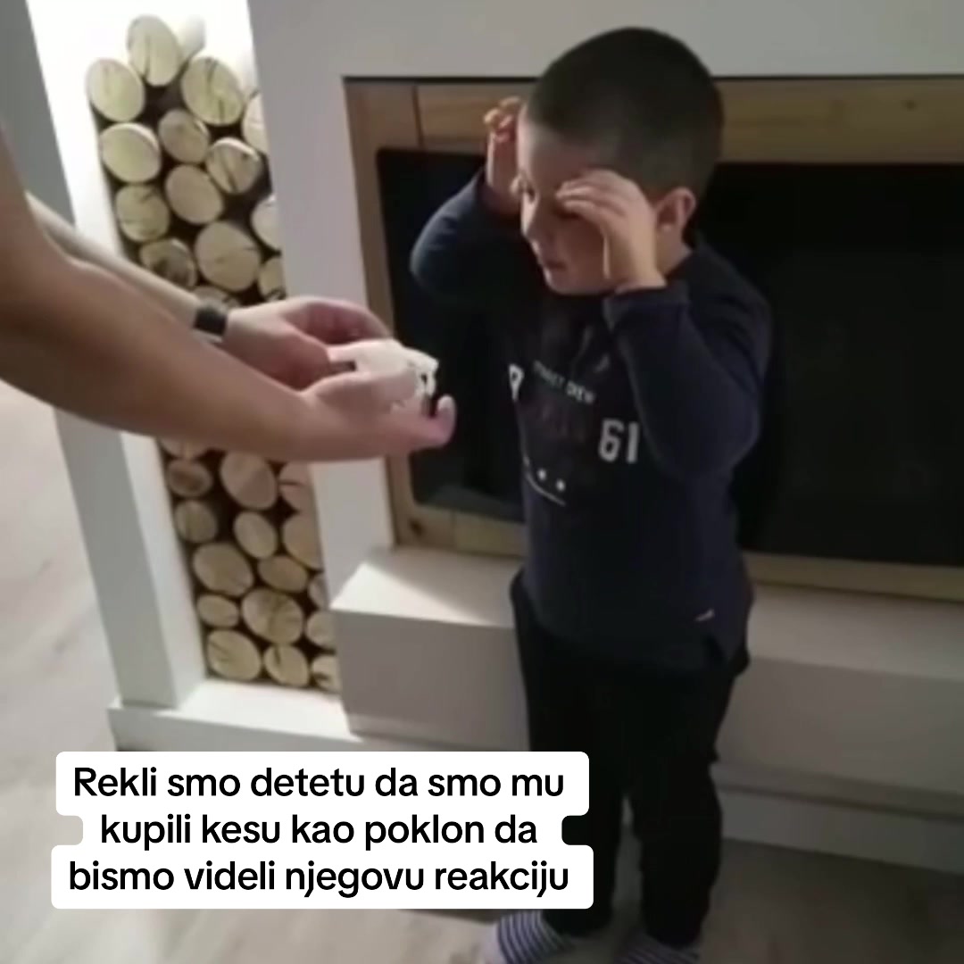 @AnaRadulovic