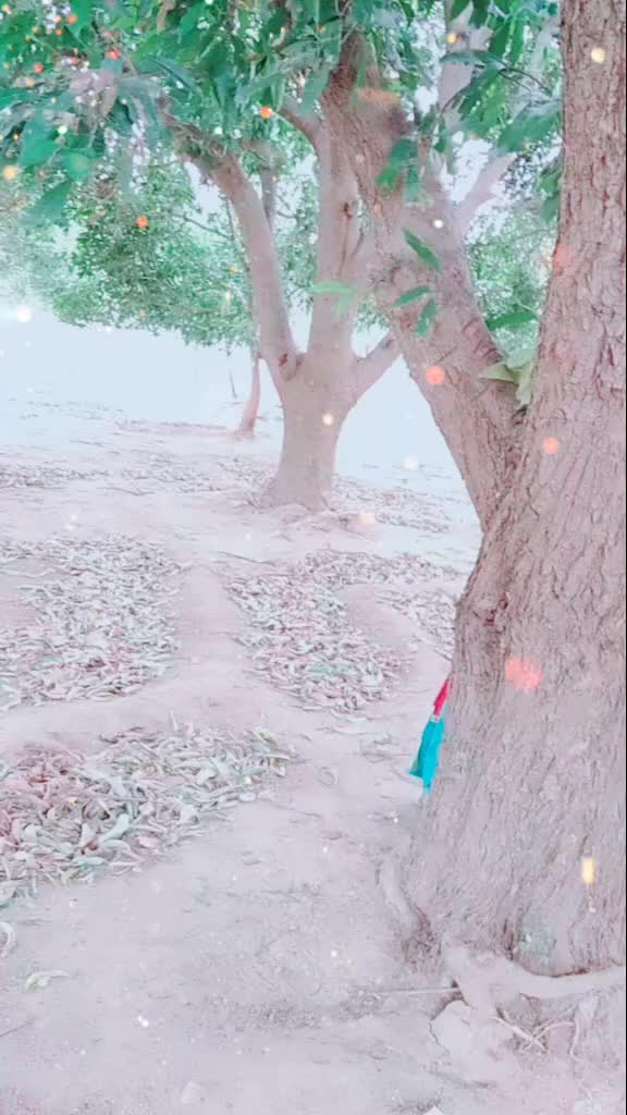 @user598156