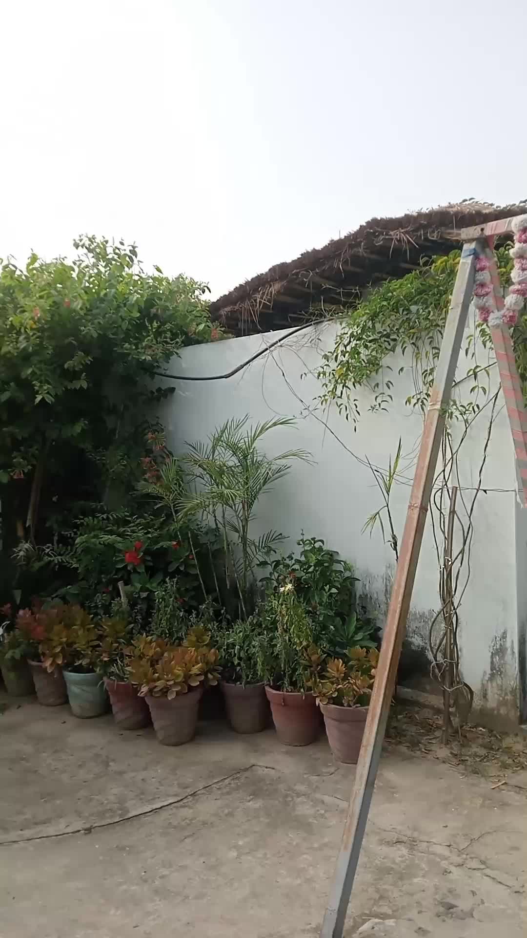@Mina Poudel Parajuli