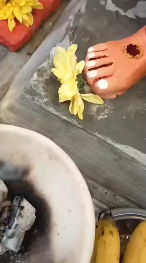 @srimeera0909