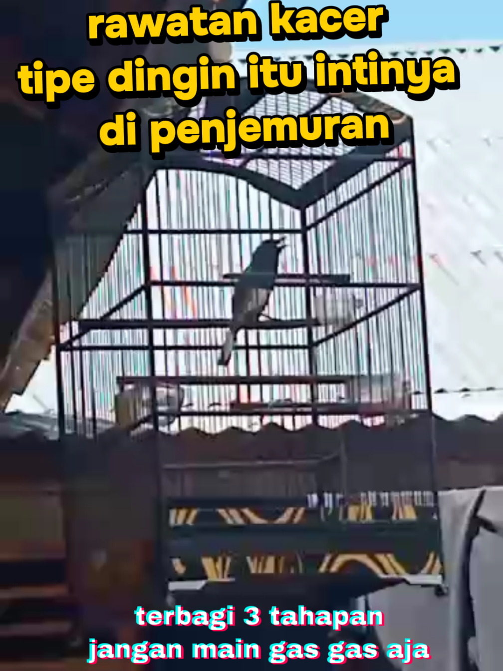 @dunia ternak