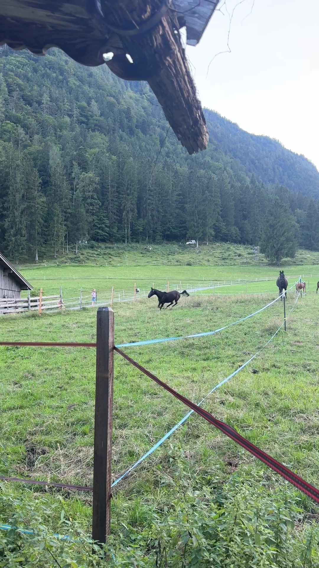 @Mountain Hill Ranch 🇦🇹
