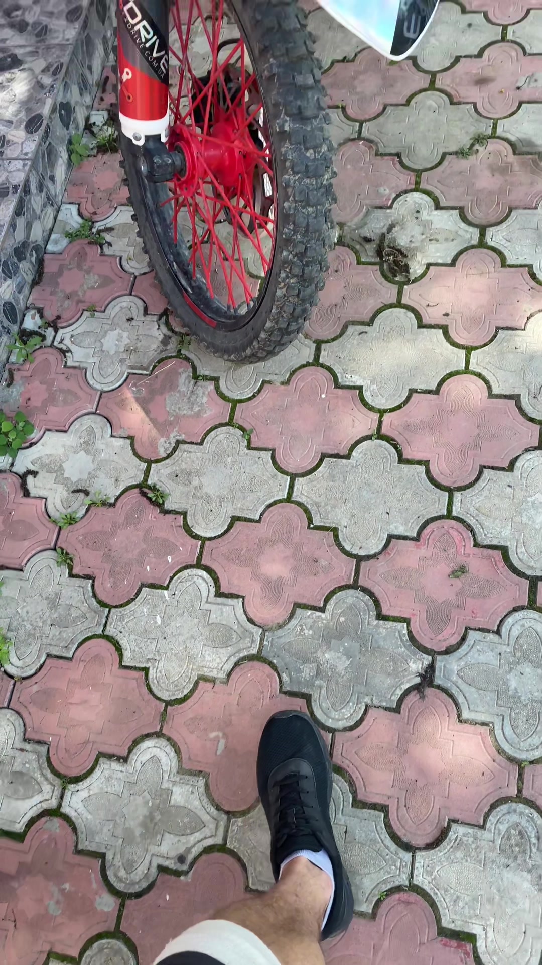 @😎PRIKOLIST😎