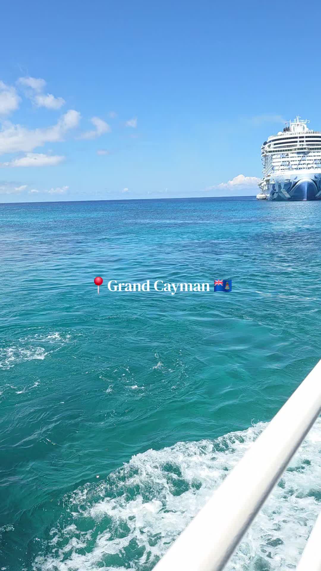@Whit the Cruise Queen⚓️