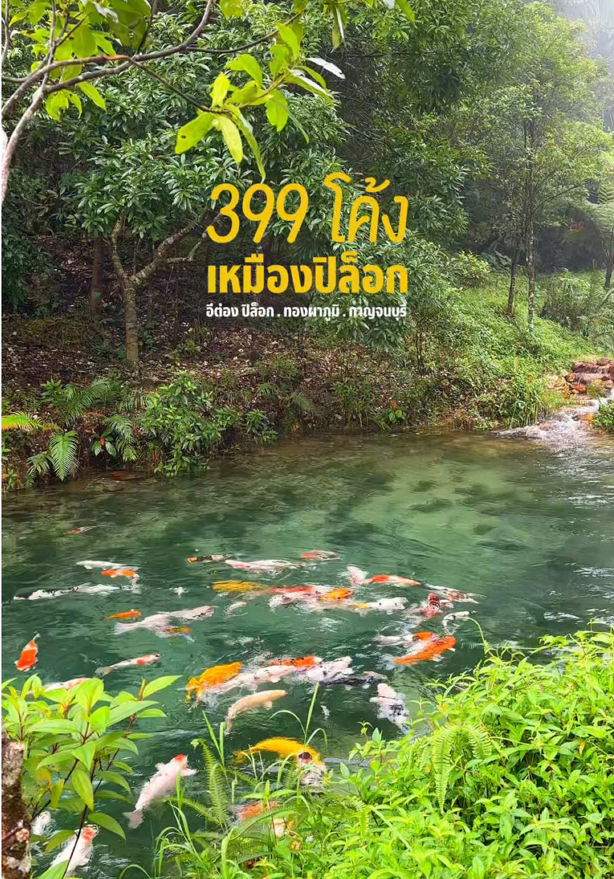 @ไปไหนก็ไปดิ