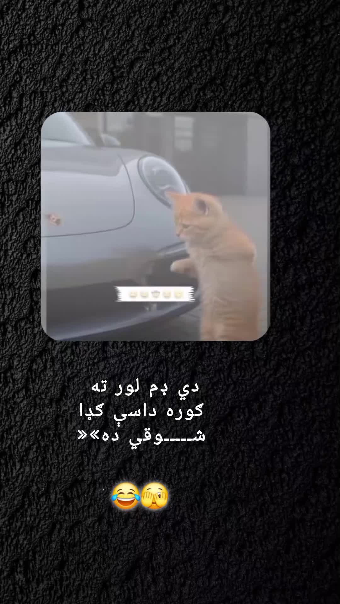 @رهــ🦢ــبر ◡̈⃝🖤