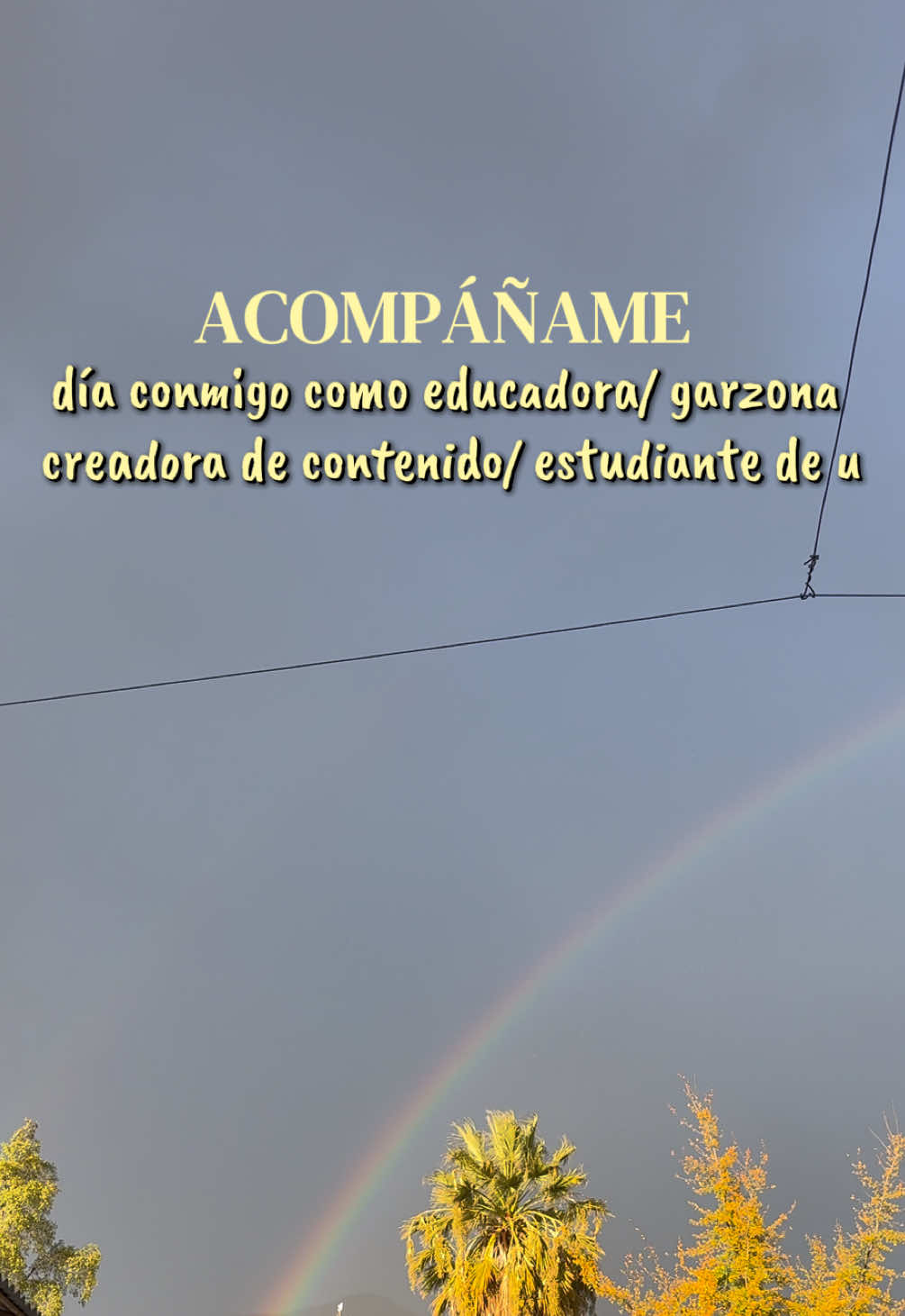 @Ignna Palominos