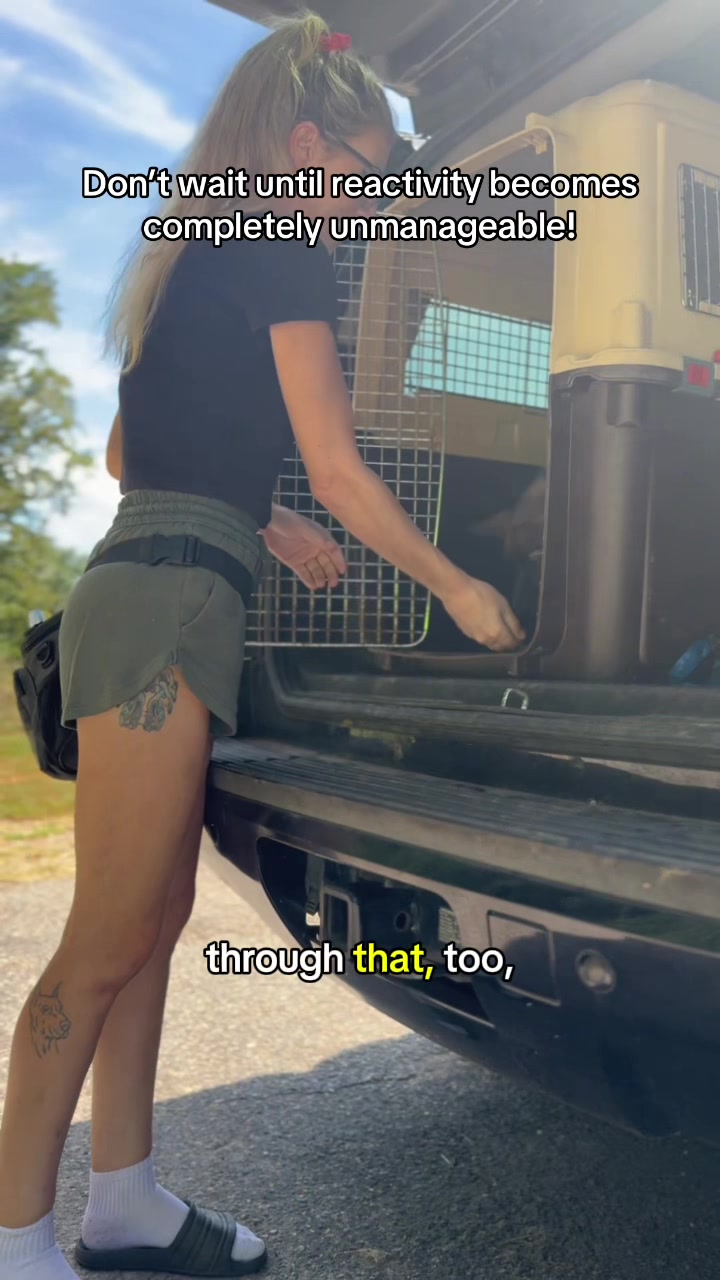 @True Guard K9 I Tara