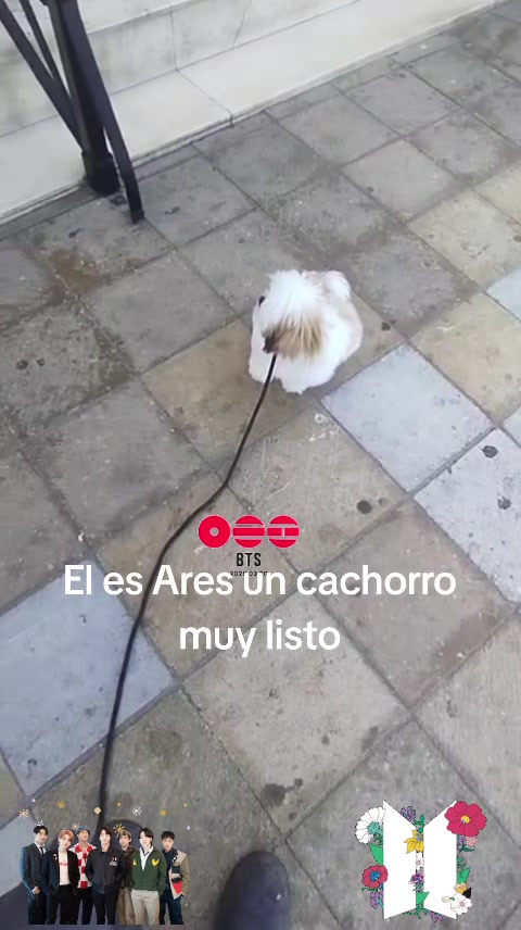 @❤️Ana Mireya Millán
