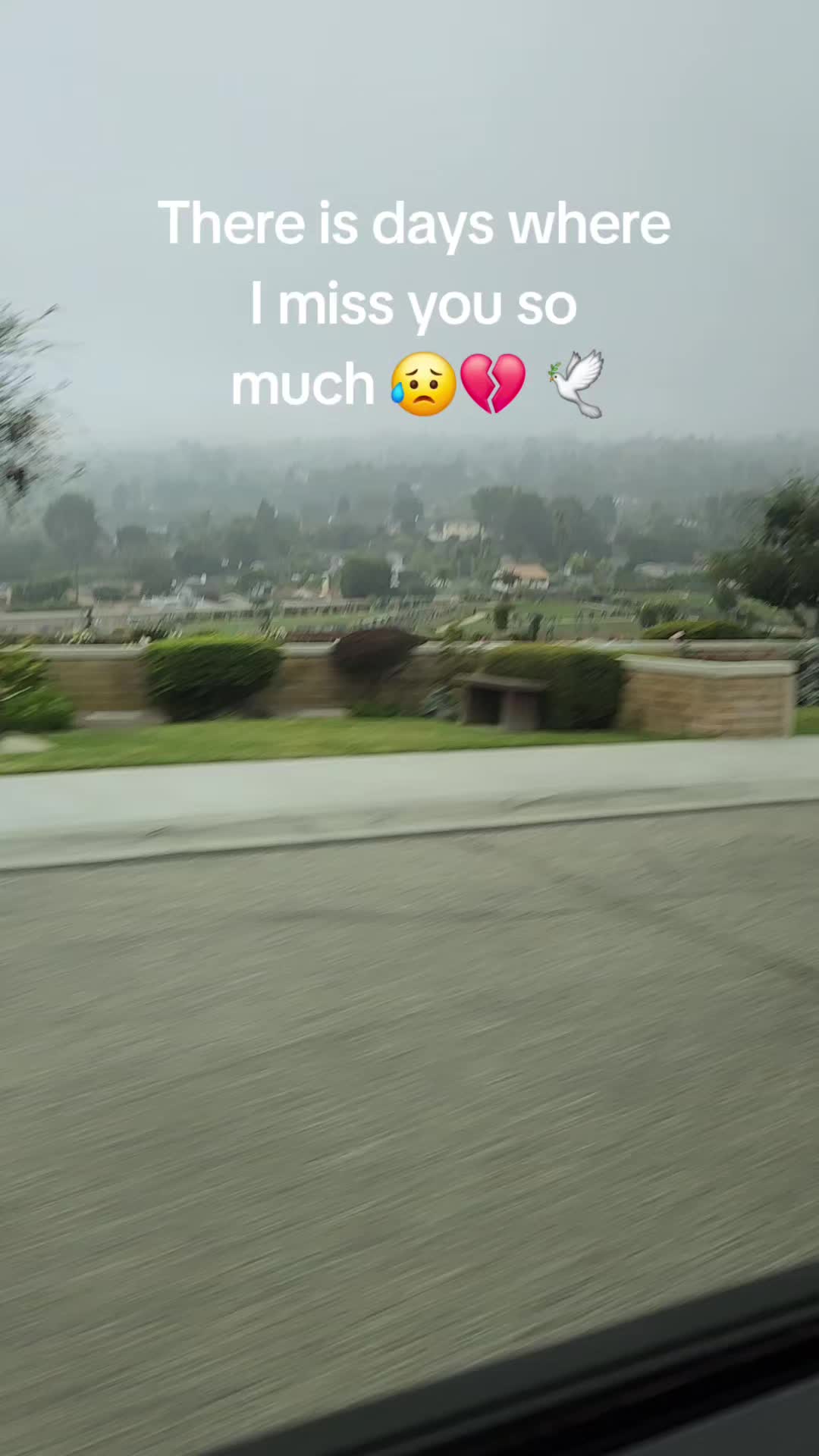 @Maribel Gallardo