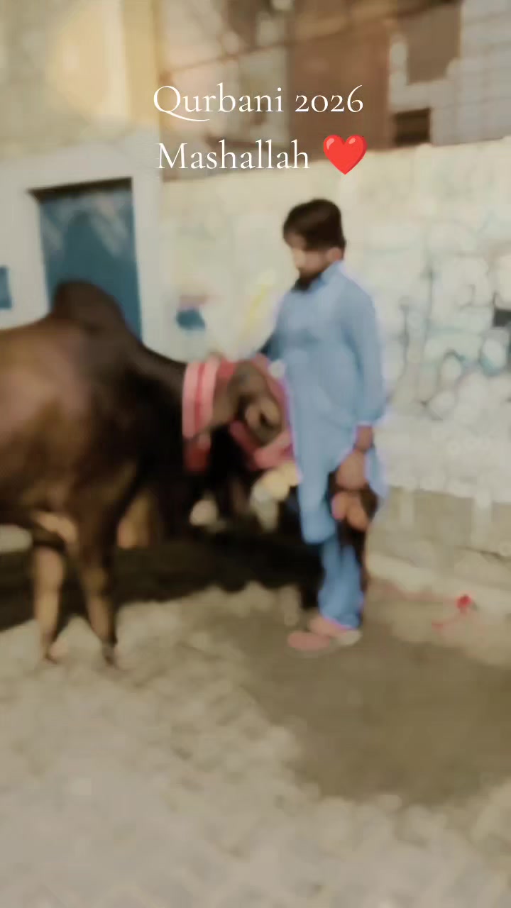 @🐎بنگش🐎