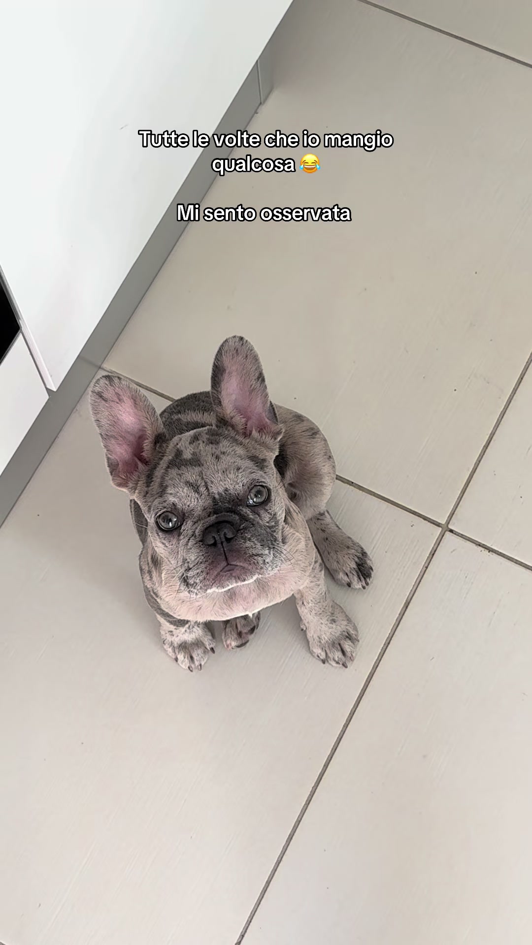 @Deb.giuranna