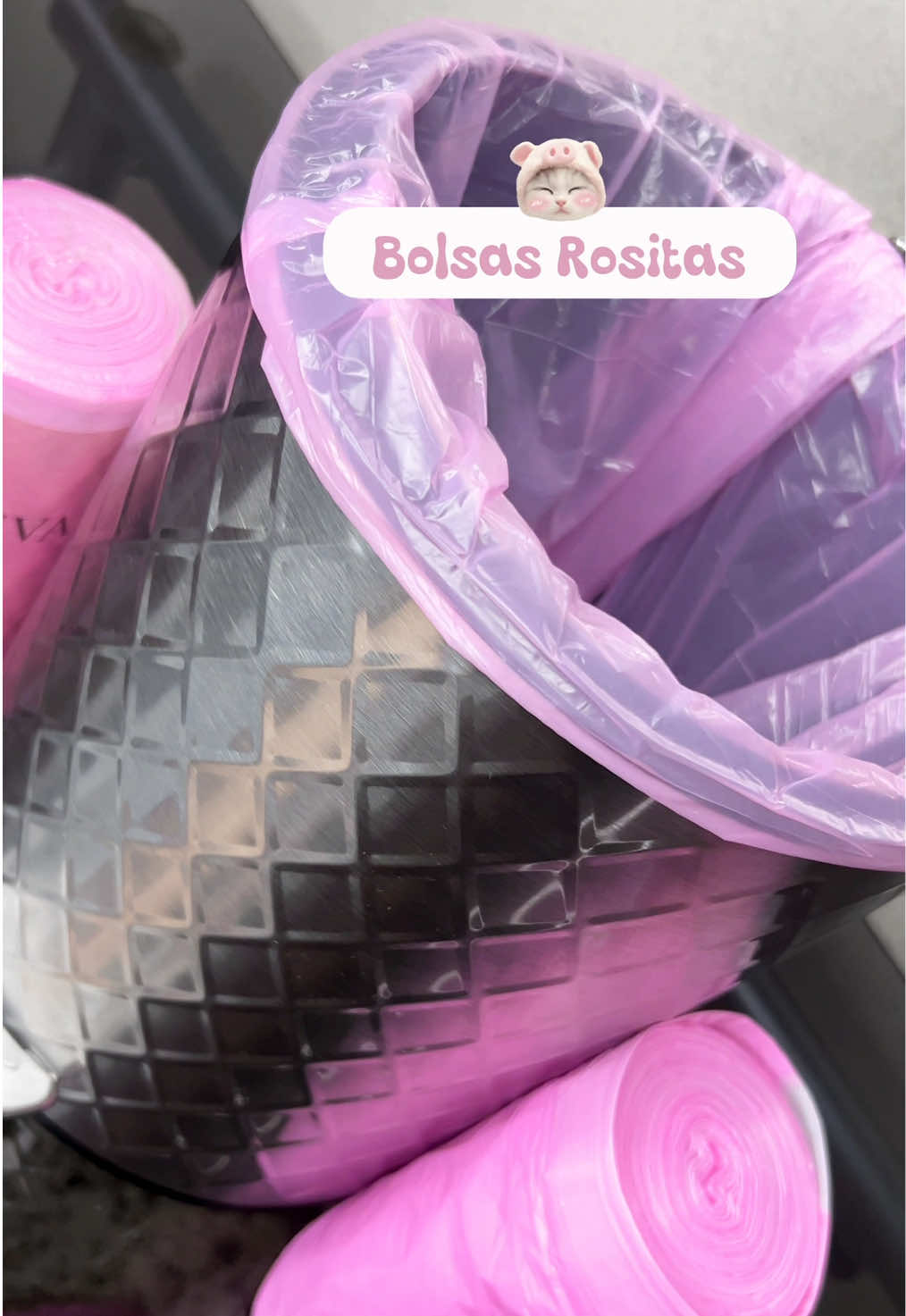 @Fer Saucedo💗🌷🧸