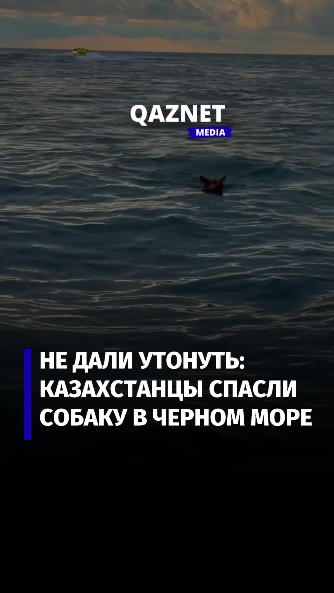 @qaznet.media