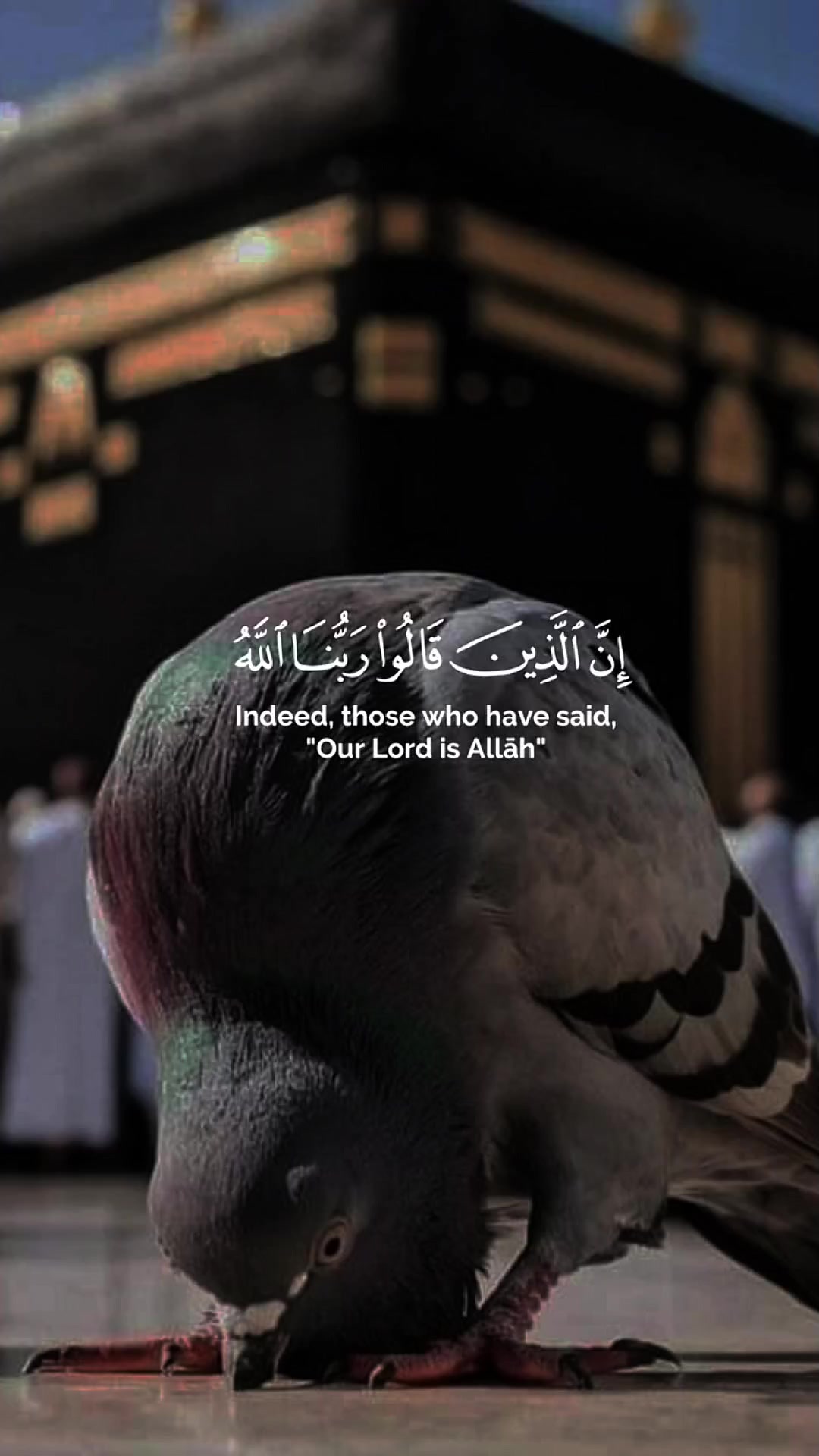 @صاحب القلب الطيب