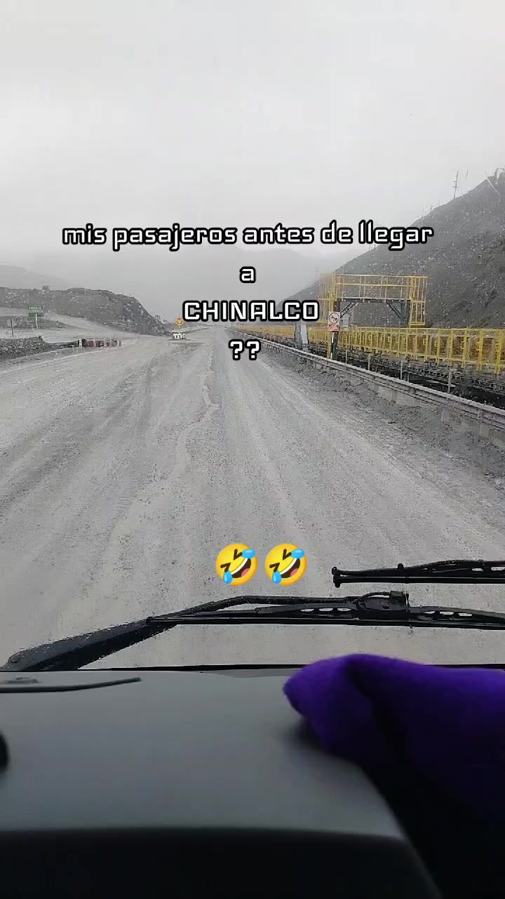 @E😎 Palomino🫶