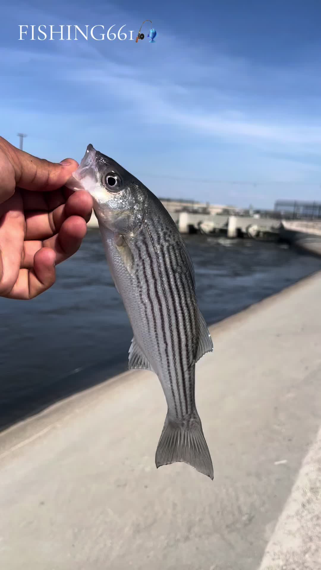 @kernfishing661_