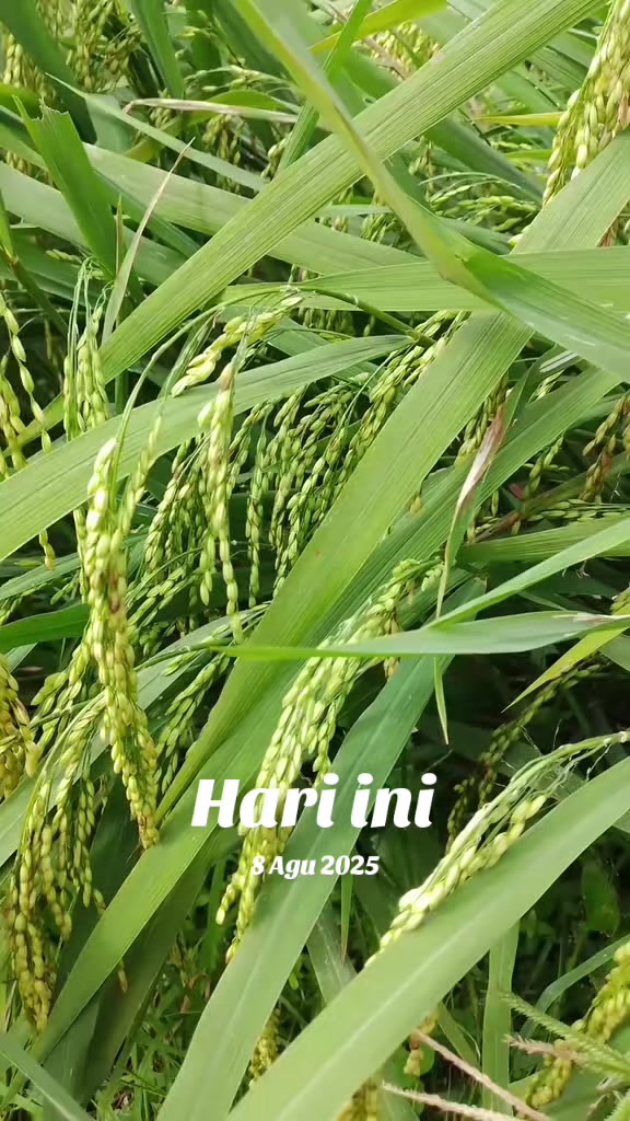 @PT. BHD INDONESIA