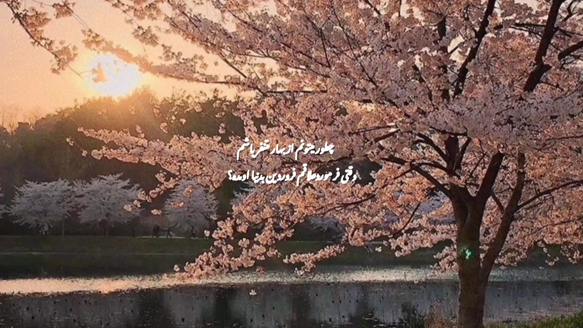@꩜