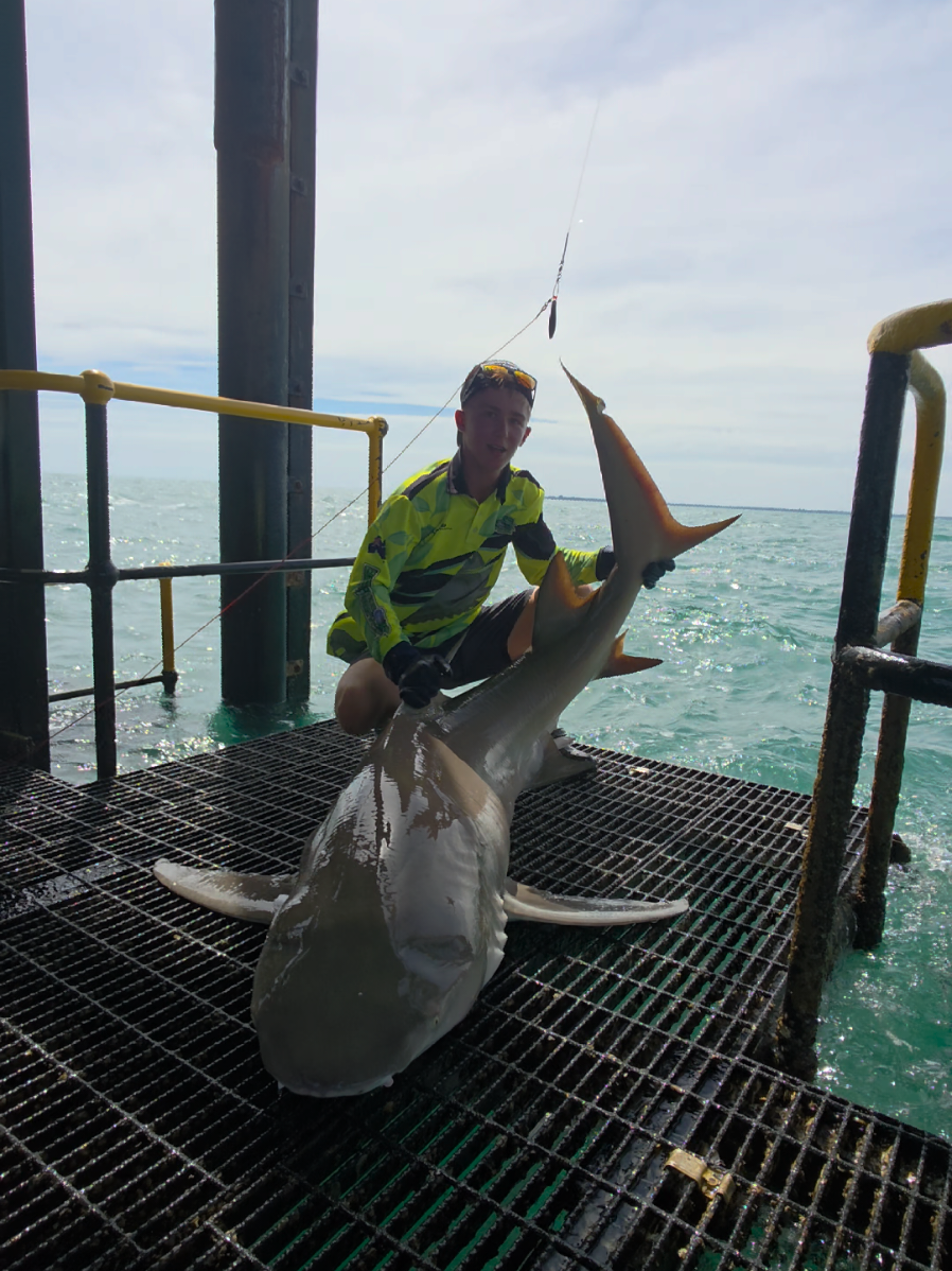 @NT SHARK KING