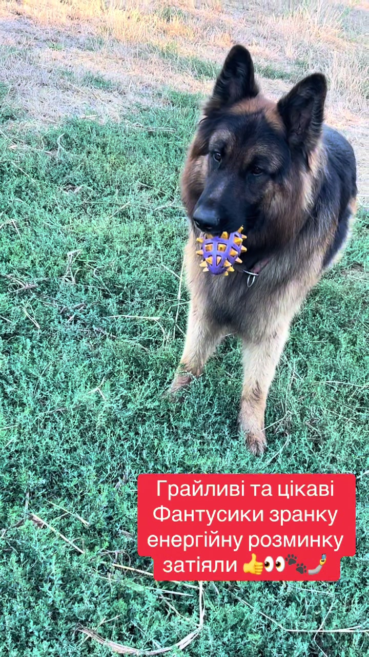 @Наташа Мазур.