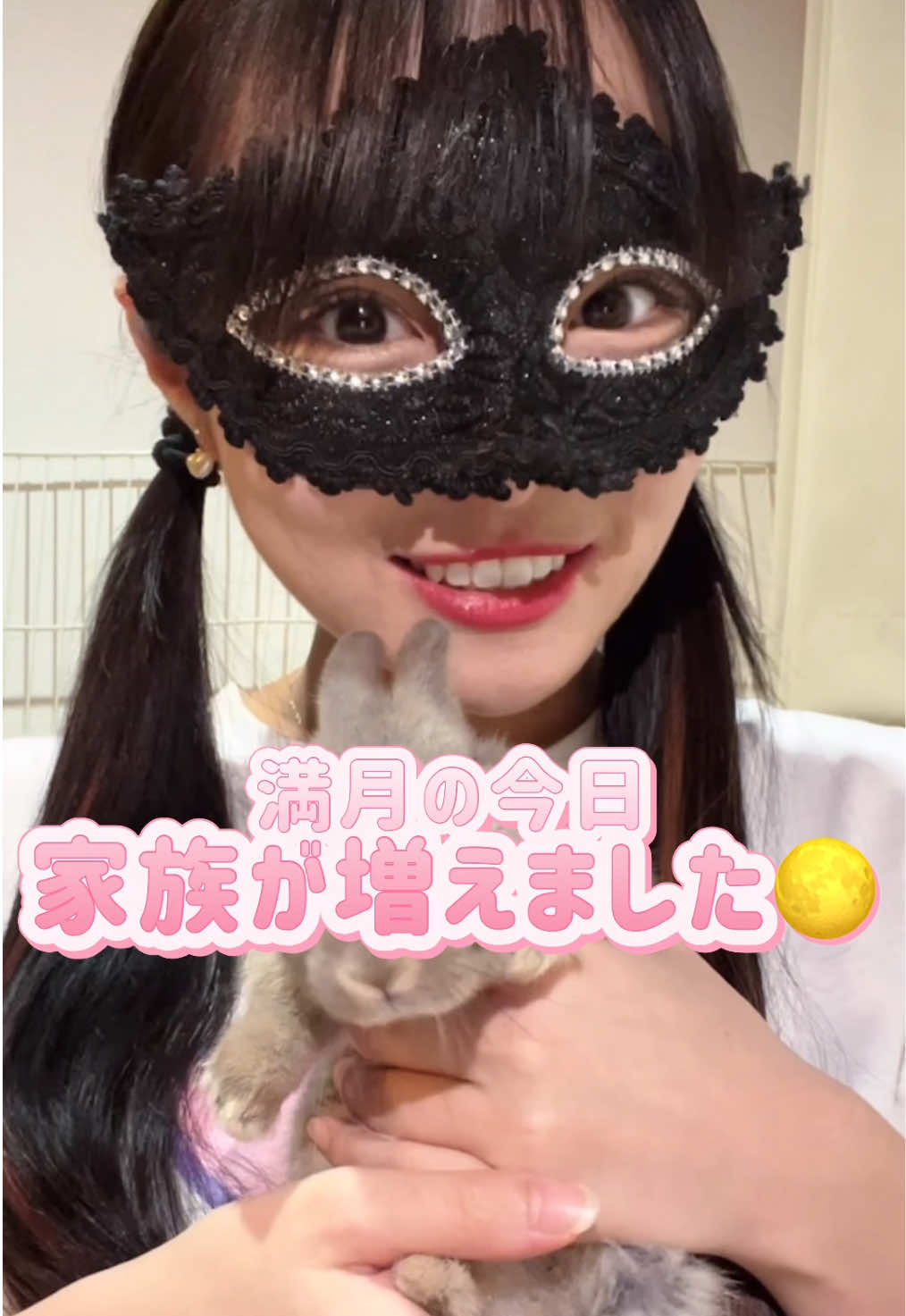 @メルナ🐰🌙2.5次元シンガー