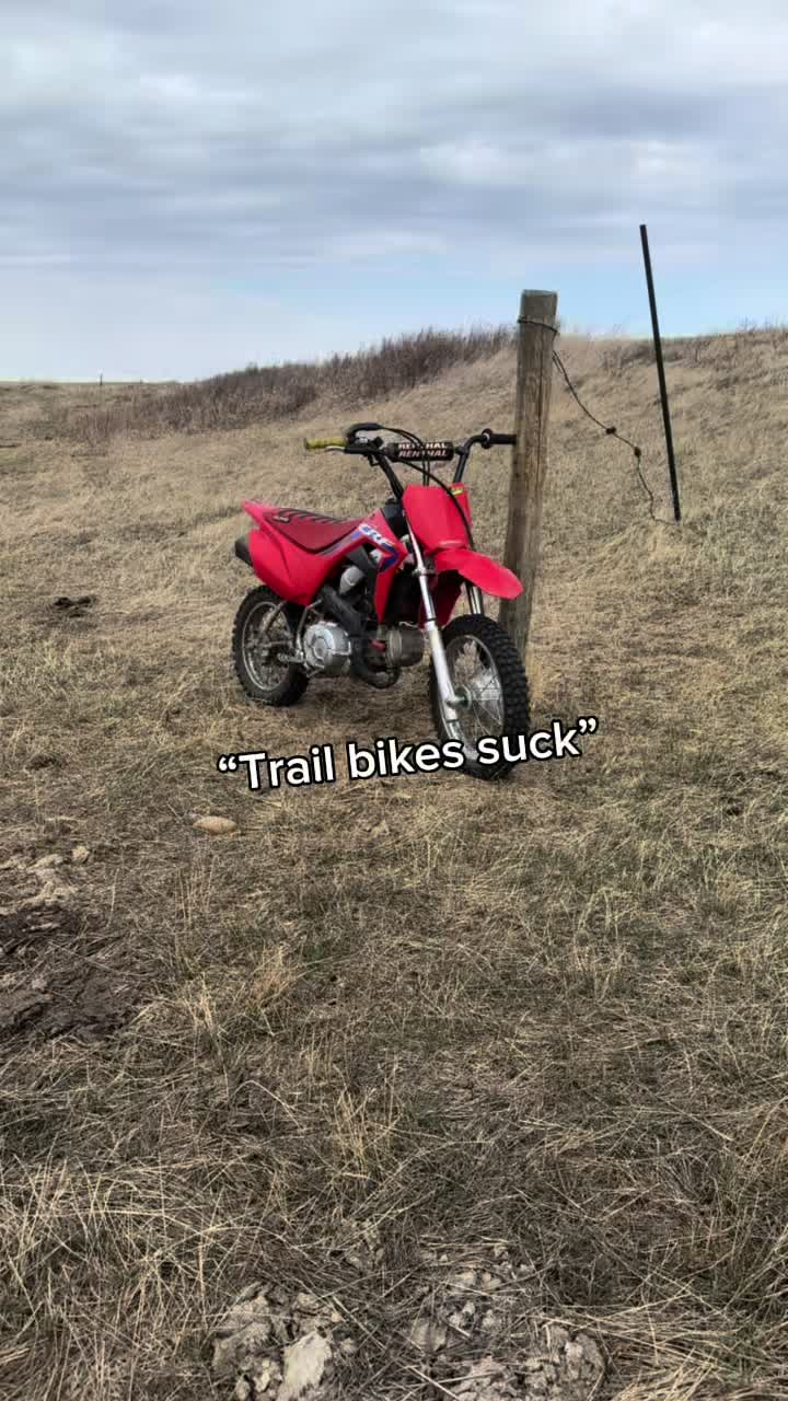 @𝓒𝓪𝓼𝓱 🇨🇦