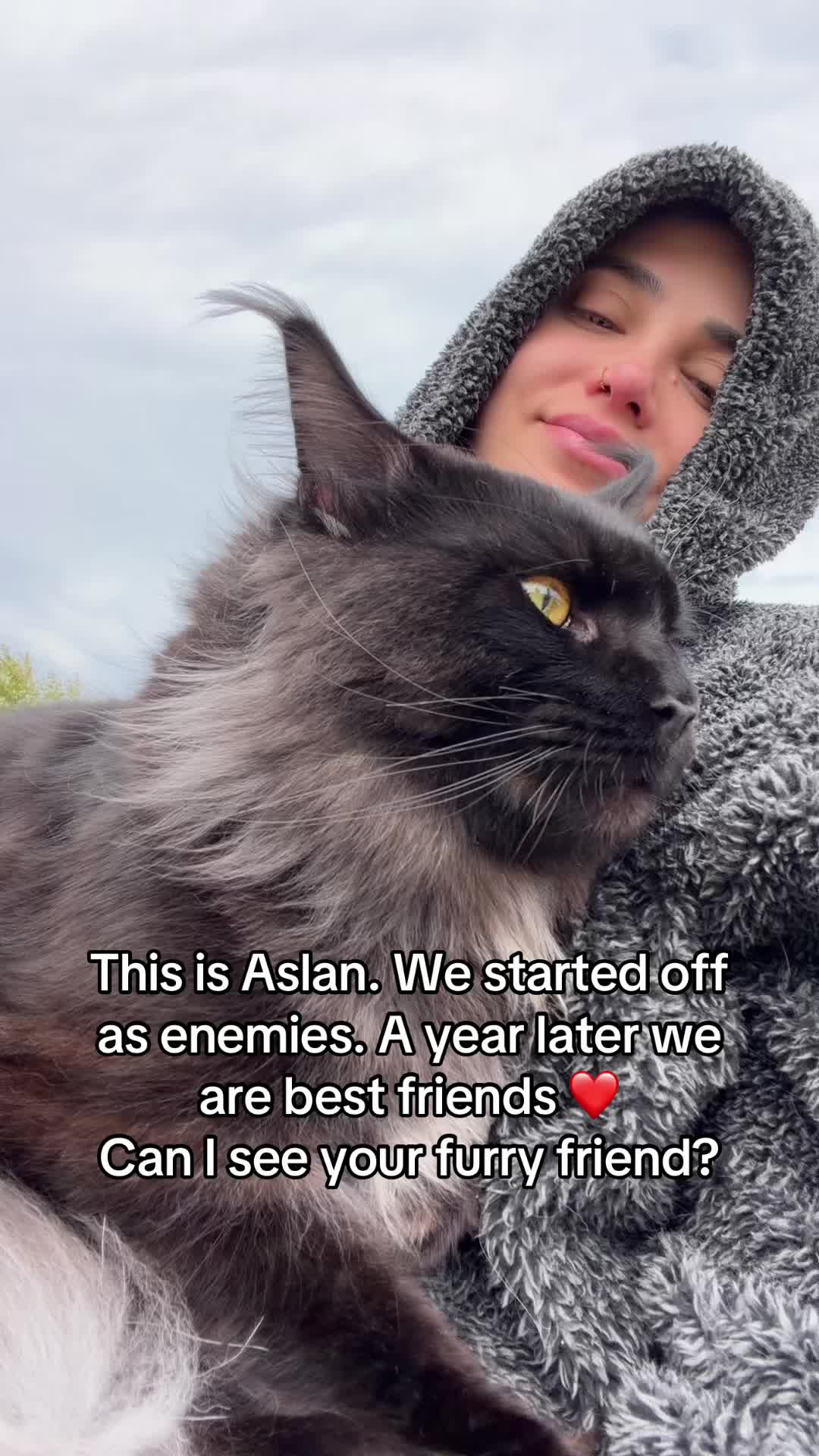 @🇵🇸Aslan the Menace🇵🇸