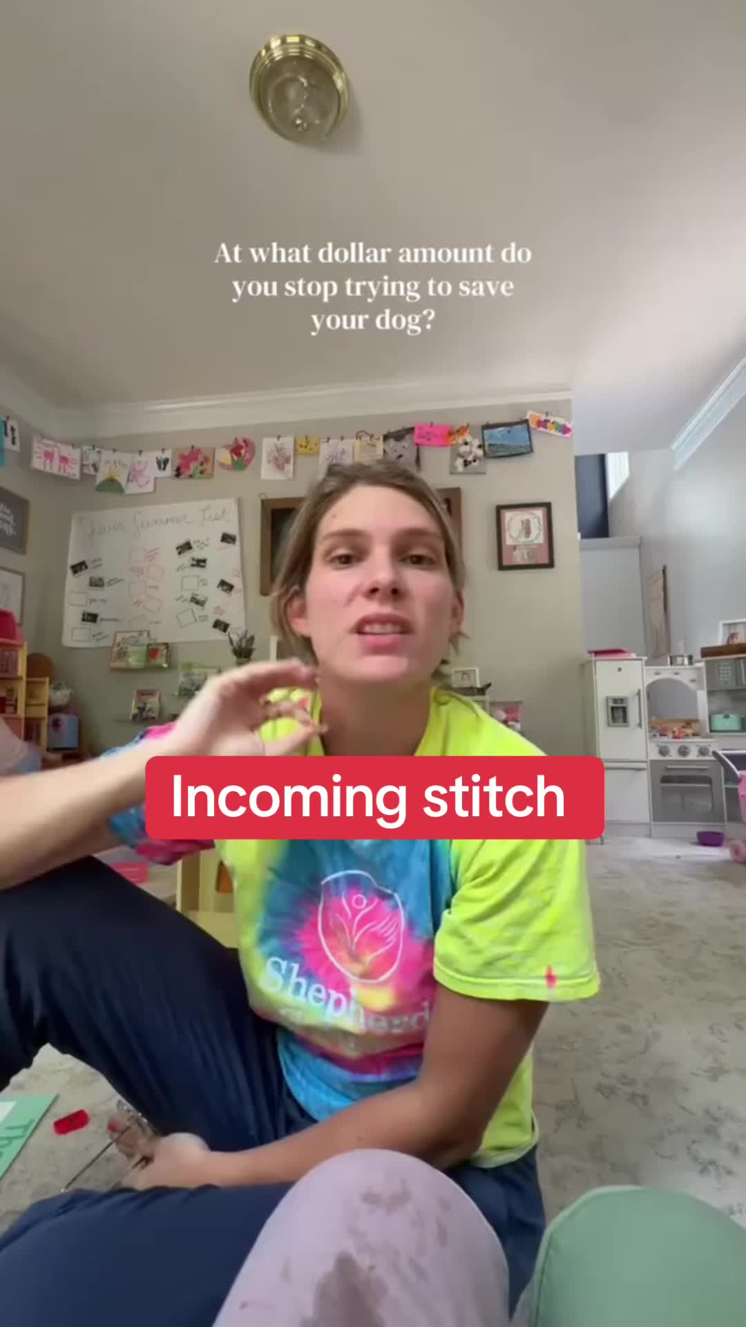 @Not Another Vet Nurse, Inc
