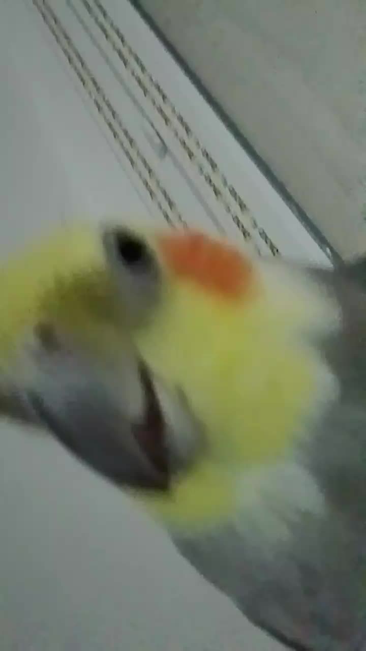 @Midou Pâr Esthesie@