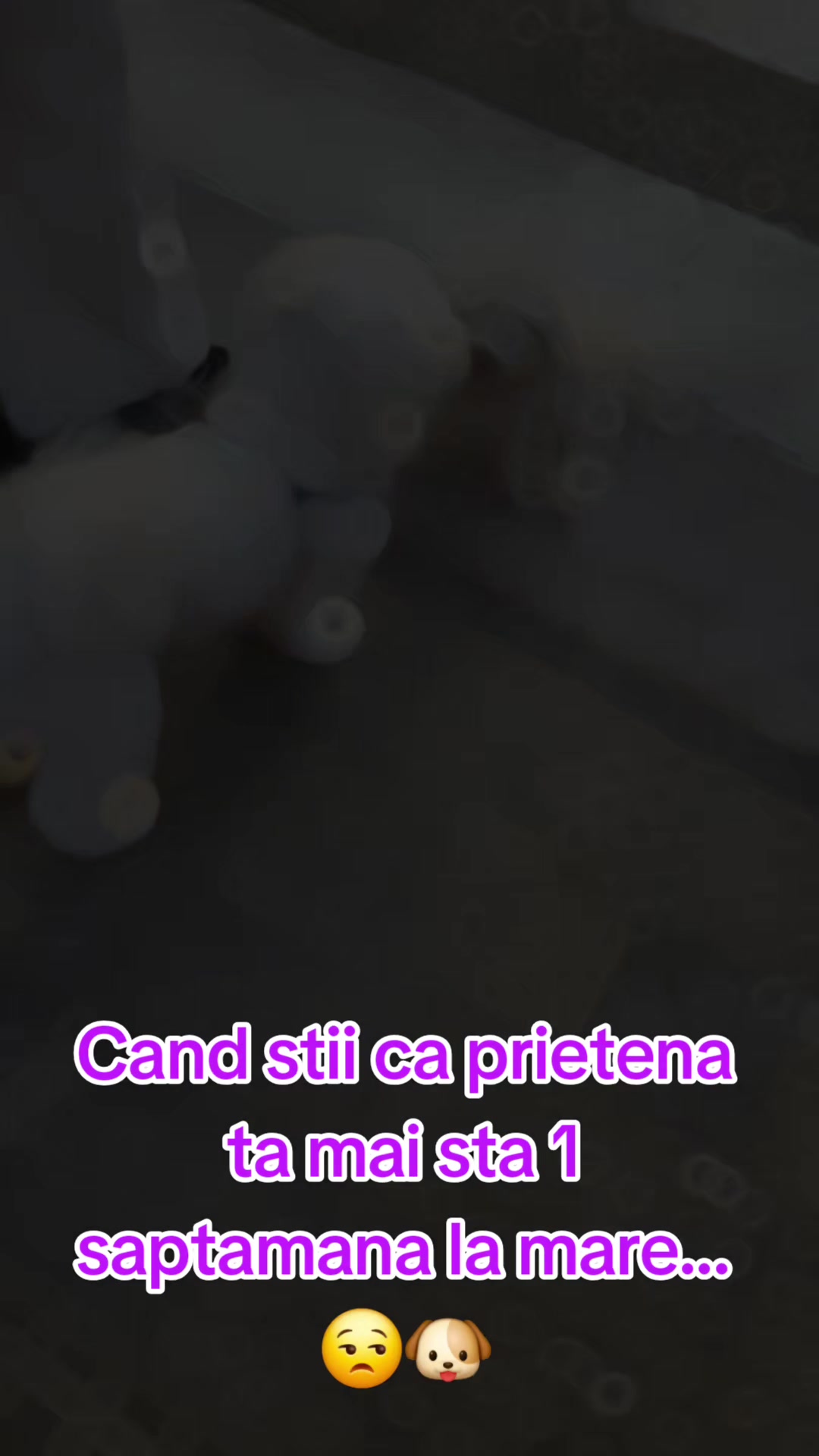 @Adina