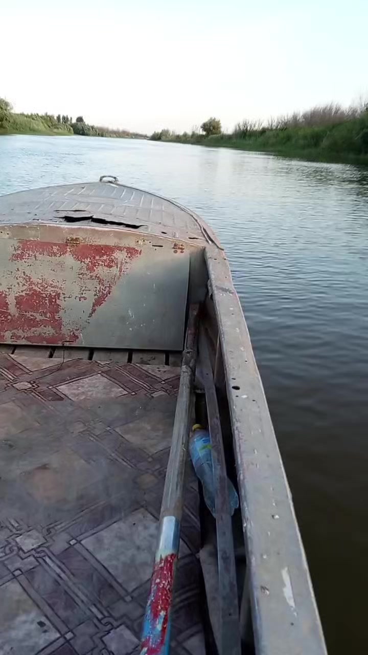 @Диана Алиева